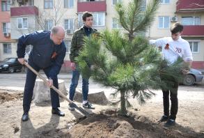 В Астрахани состоялась акция  «Дерево Победы»