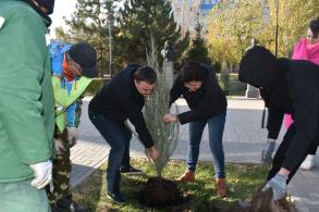 В Астрахани высадили «Мемориальные деревья России»
