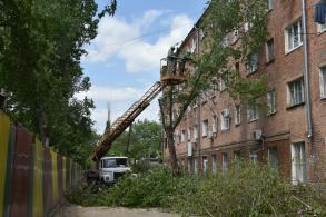 На улице Ляхова опилили аварийные деревья