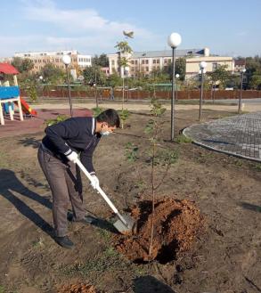 В сквере Судоверфи имени Кирова в посёлке Казачий высадили деревья